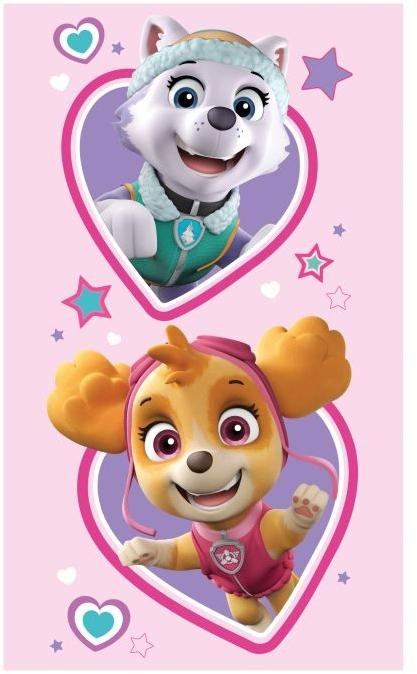 dl_211255_detexpol_detsky_rucnik_paw_patrol_sky_a_everest_bavlna_frote_50_30_cm