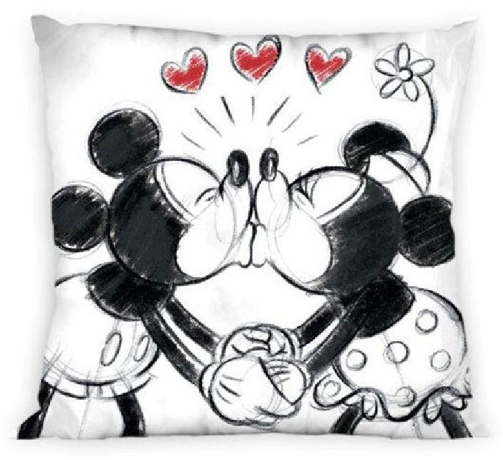 povlak Minnie a Mickey
