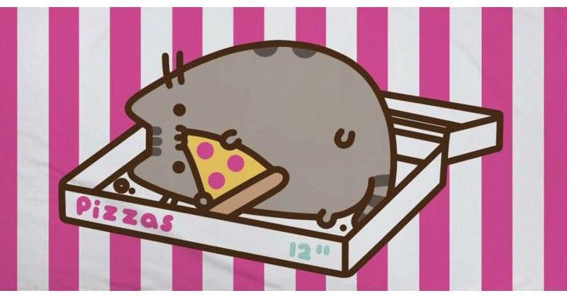 osuška Pusheen