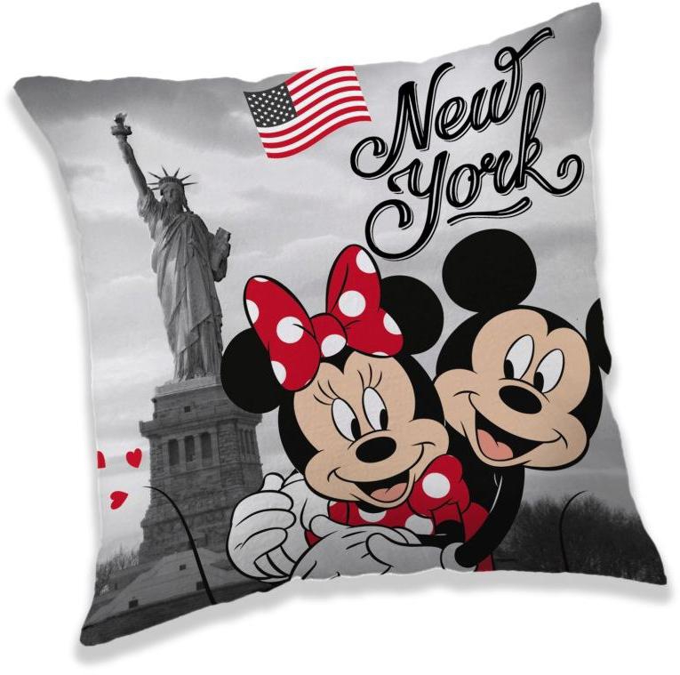 st_089528_polstarek_mickey_a_minnie_new_york_40_40