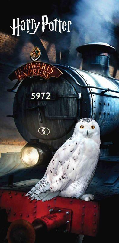 Osuška Harry Potter Hedwig 70x140 cm