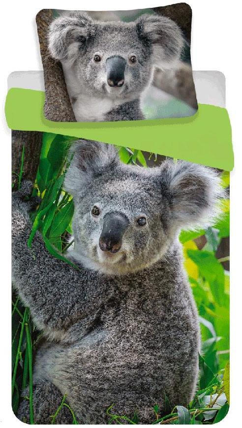povlečení Koala
