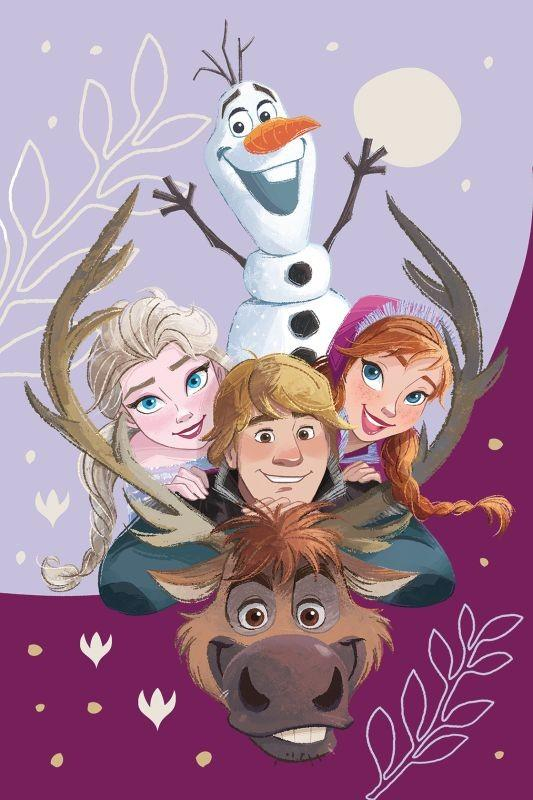 deka Ledové království / Frozen