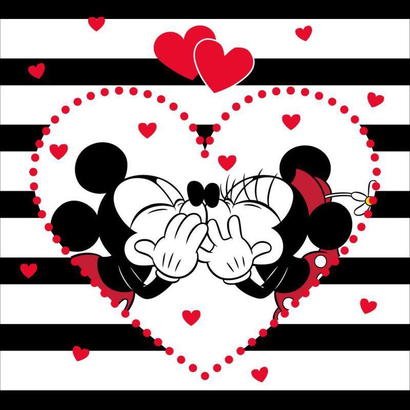povlak Minnie a Mickey
