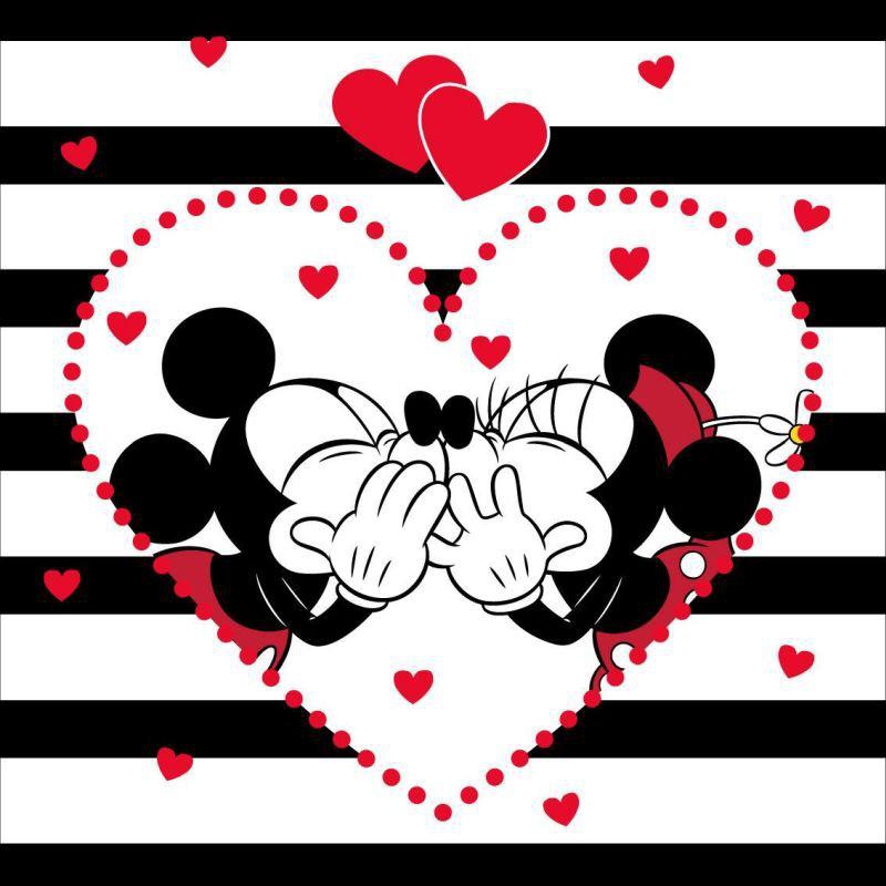 st_292788_povlak_na_polstarek_mickey_a_minnie_stripes_micro_40_40