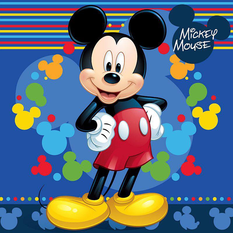 povlak Mickey Mouse