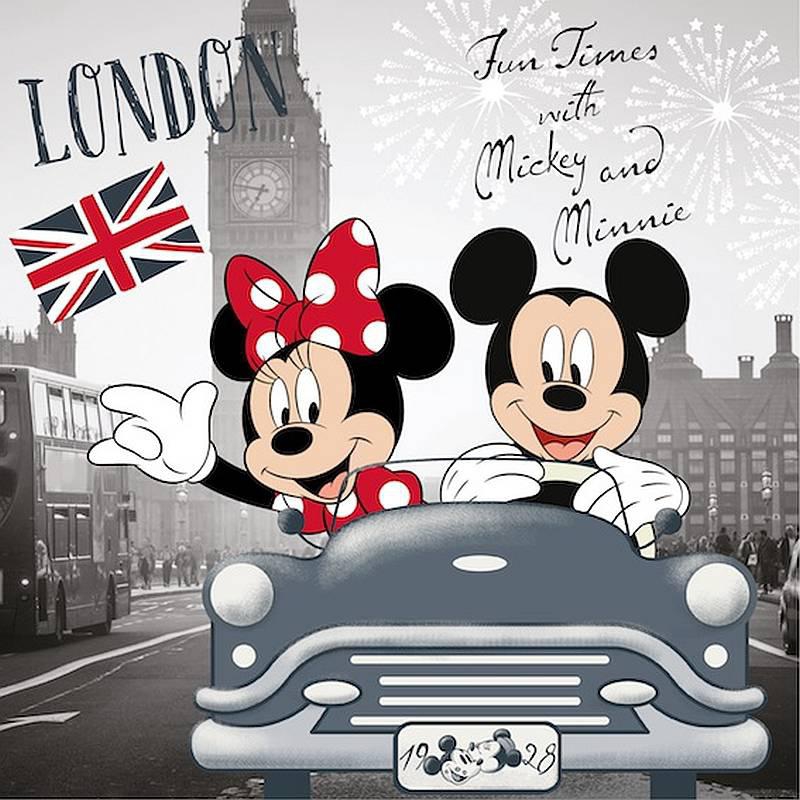 povlak Minnie a Mickey