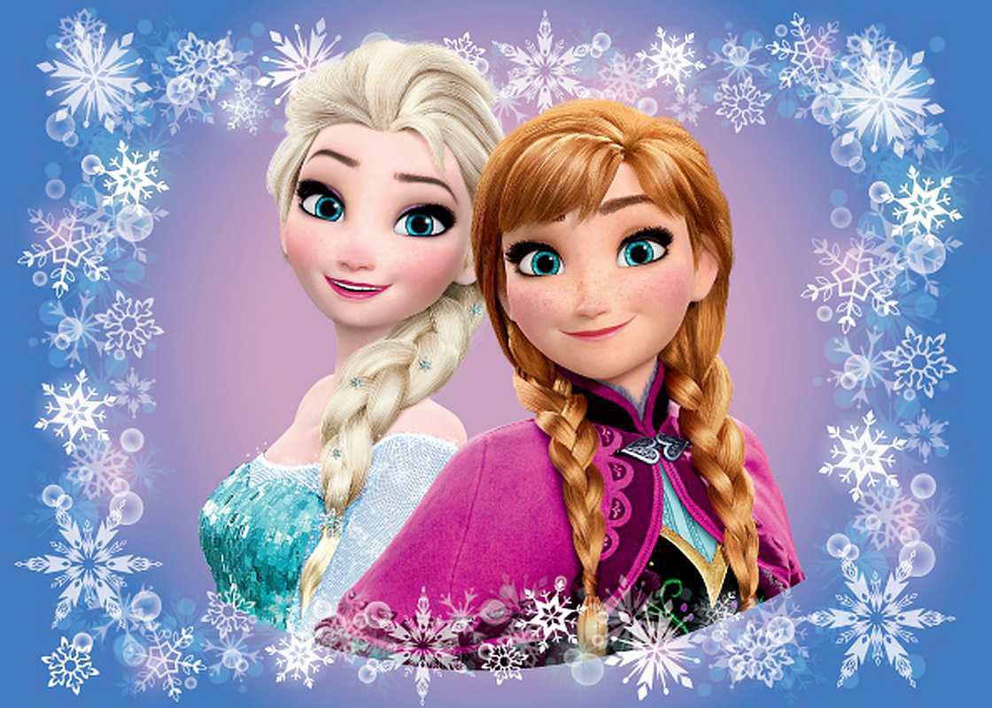ostatní dárky Ledové království / Frozen