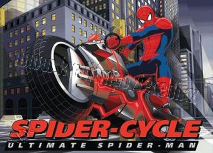  Spiderman / Marvel