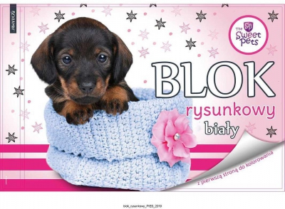 Blok na kreslení s omalovánkami Sweet Pets Pejsek 29x21 cm