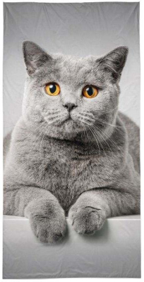 Osuška Kočka šedá 70x140 cm