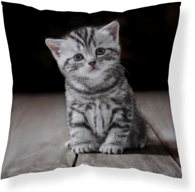 Povlak na polštářek Koťátko 40x40 cm