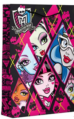 dm_04079_diomercado_darkova_taska_monster_high_galery_46x33_cm