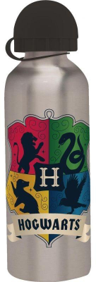 ALU láhev Harry Potter silver 500 ml