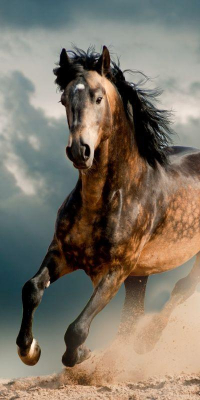 Osuška Kůň v bouři 70x140 cm