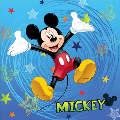 st_085637_polstarek_mickey_2016_40x40