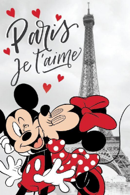 st_125604_jerry_fabrics_fleece_deka_mickey_a_minnie_pariz_eiffelova_vez_polyester_100_150_cm