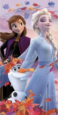 Dárky nejen pro děti Ledové království / Frozen