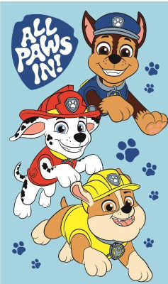 Dětský ručník Paw Patrol Boys 50x30 cm