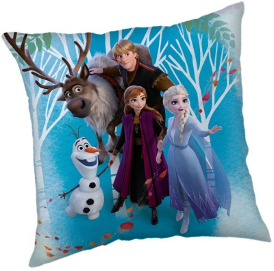 povlak Ledové království / Frozen
