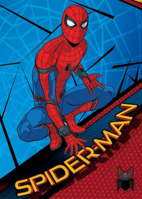 Dětský koberec Spiderman Wall Crawler 95x133